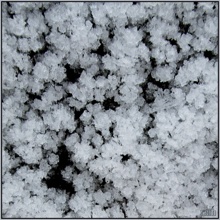 frost