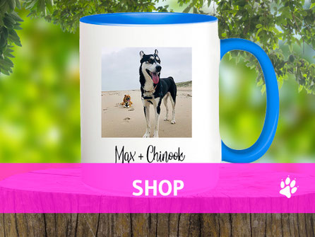 Hundehort Rudel-Treff - Shopartikel