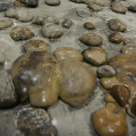 Fondo de lecho de piedras (ficticias) para exposición Neanderthales
