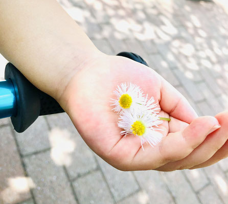 新宿こどもとかぞくのこころの相談室ブログ「子どもの心を育むって？ー子どもの発達と個性へのまなざしー」