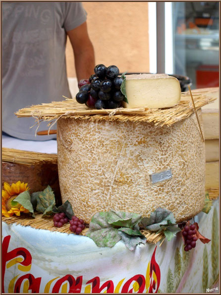 Marché de Provence, mardi matin à Vaison-la-Romaine, Haut Vaucluse (84), étal de fromages, fabrication artisanale