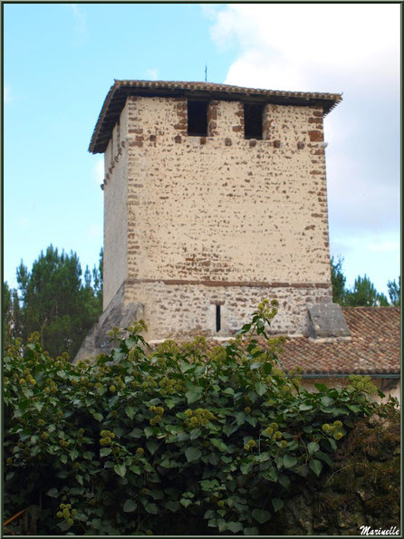 Le clocher de l'église Saint Pierre de Mons, Belin-Beliet (Gironde) 