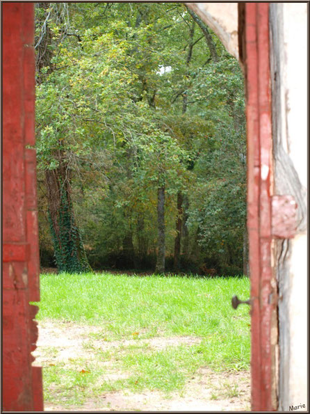 Eglise St Michel du Vieux Lugo à Lugos (Gironde) : porte d'entrée ouverte vers la clairière