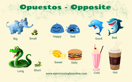 Opuestos en inglés - Kids vocabulary