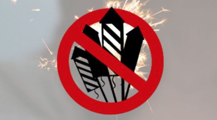 (Bild: feuerwerksinitiative.ch)