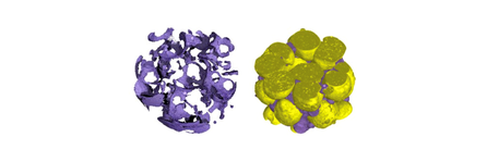 Image: three dimensional view of a biofilm (purple) on biolite beads (yellow) obtained at the ESRF facility