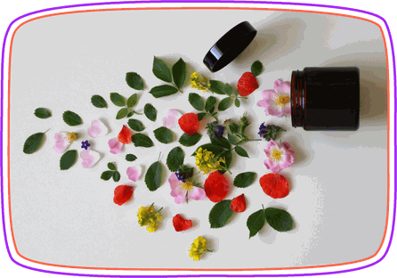 Naturkosmetik selbst herstellen