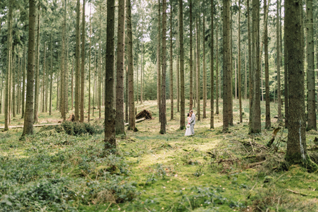 Brautpaar mitten Wald zwischen hohen Tannen