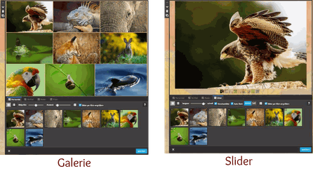 Screenshot Jimdo Creator Galerie-Widget