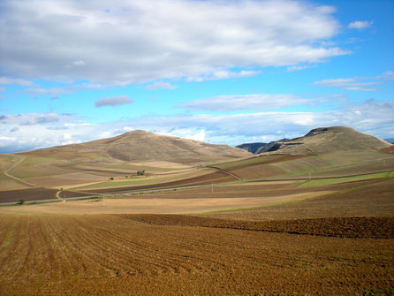                                            Sur la Meseta, après Burgos