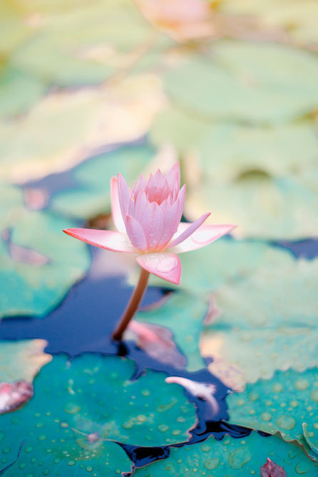 Meditation als Praxis der Selbstreflexion und inneren Klarheit