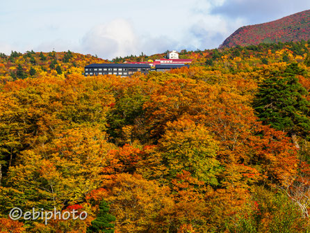 栗駒山荘