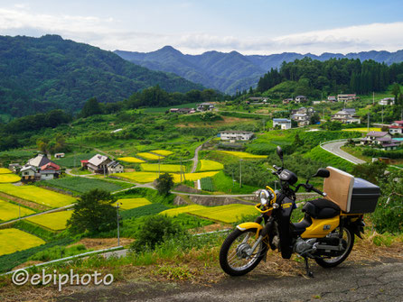 小川村