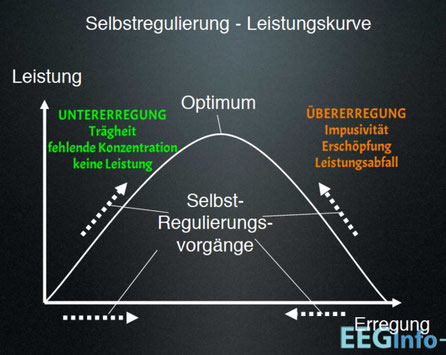 Selbstregulierung. Leistung in Zusammenhang mit Erregungslevel