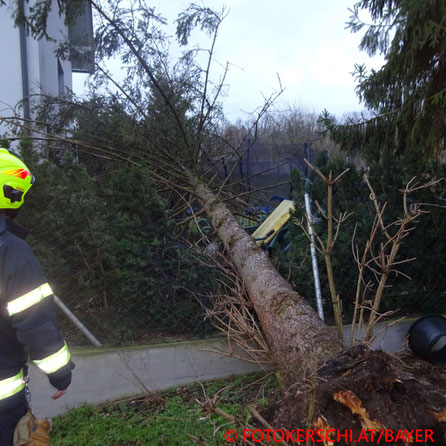Feuerwehr; Blaulicht; Fotokerschi.at; Sturm Bianca; Baum;
