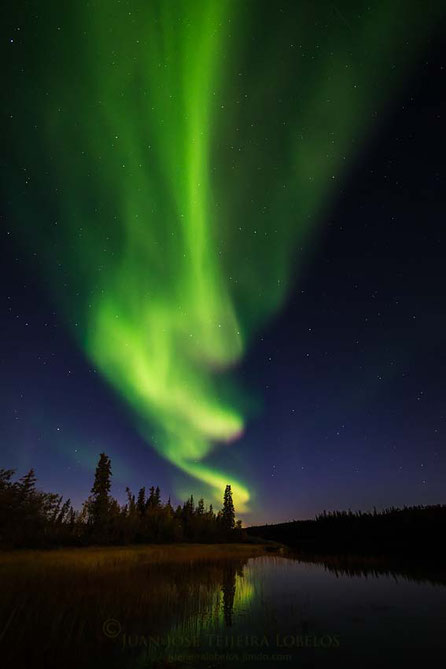 Aurora boreal en Prelude Lake, Yellowknife