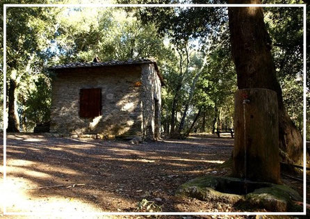 PARCO FORESTALE DI POGGIO NERI   