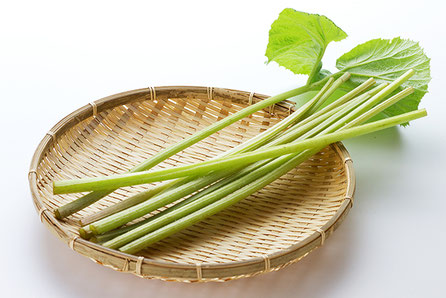 美味しいフキの見分け方 Yasai No Mikata ページ