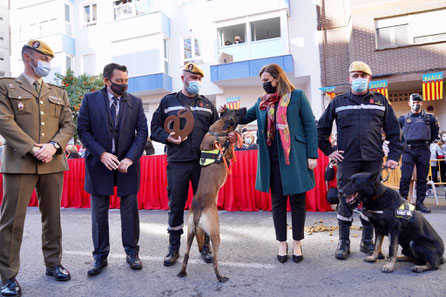 Catalá, en la celebración Sant Antoni Abad