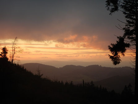 Dogtrekking Dogtrekking Dogtrekking Elbsandstein-Dogtrekking ESDT Harz-Dogtrekking