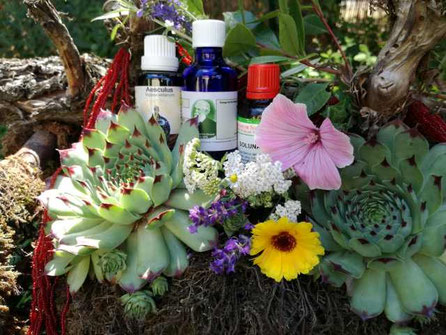 Arzneimittelfläschchen zwischen Blumen und Blättern