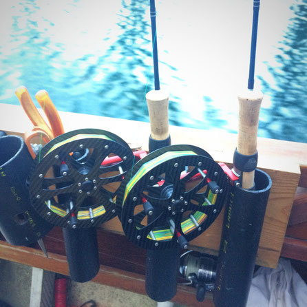 Felchen, Bielersee, Fischen, Gambe, Hegene, Renke, angeln, Felchenrute, Fischreiher, Filet, Fischerei