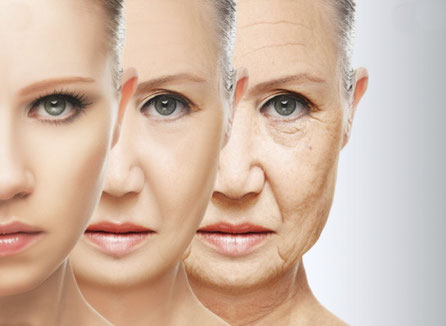 Dermalinfusion Antiaging Permanentyoung Nicole Scherz