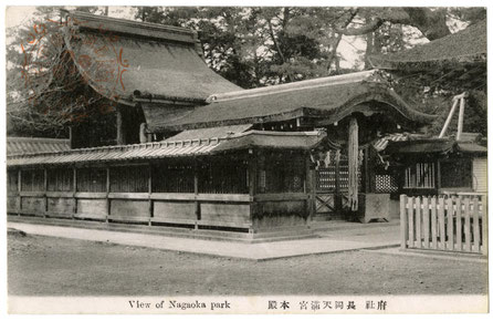 長岡保勝会 長岡公園と八条ヶ池 百瀬ちどりの楓宸百景