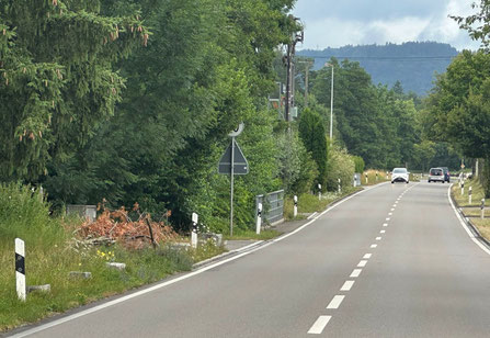 (Bild: buebikenews)