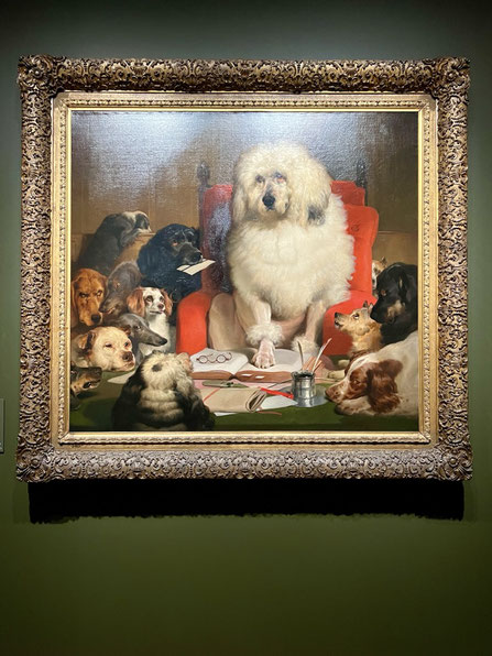Dogs!