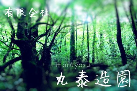 有限会社　丸泰造園
