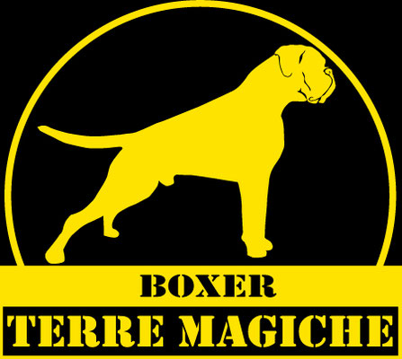 boxerdelleterremagiche
