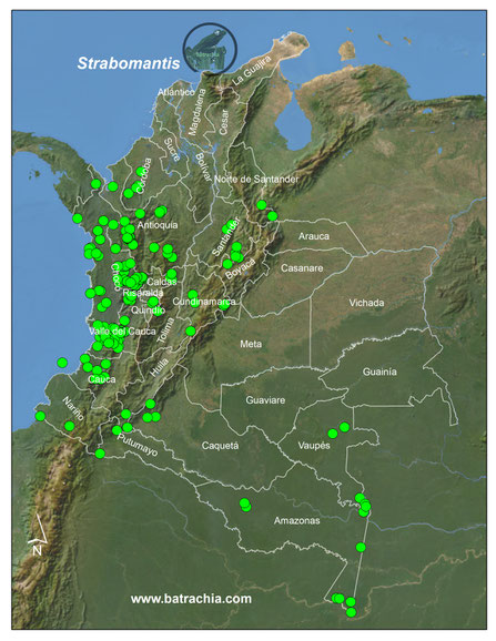 Distribución del Género en Colombia