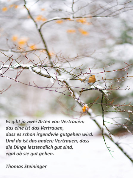 © lapisbleue-pixabay.com