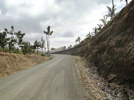 La nueva Vía Conguillo - Puerto Chorrillo - Barraganete en el Cantón Pichincha de la provincia de Manabí, Ecuador.