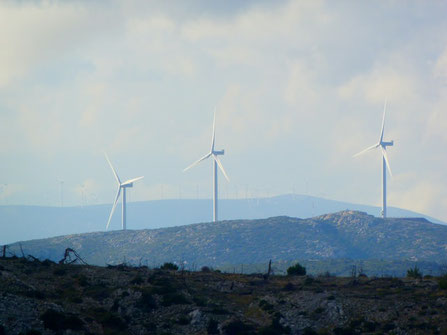 Investir dans les énergies renouvelables