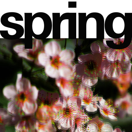 Lass den Frühling rein!