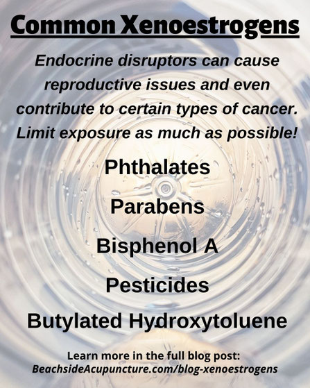Common Xenoestrogens on the Beachside Blog