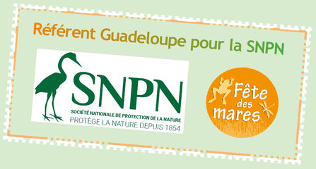 logo Société Nationale de Protection de la Nature et logo fête des mares