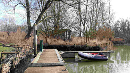 Naturparadies "De Biesbosch" im Winterkleid 