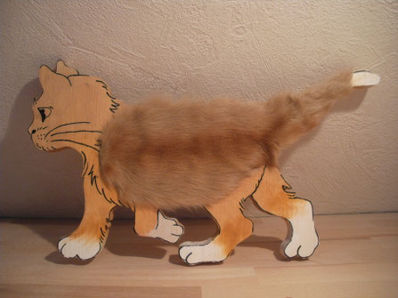 Streicheltier Katze laufend