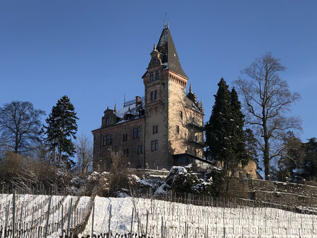 Schloss Rodeck, Kappelrodeck