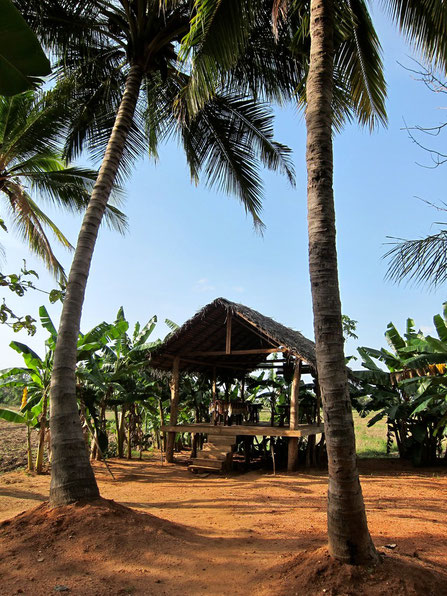 Rice Villa bei Polonnaruwa