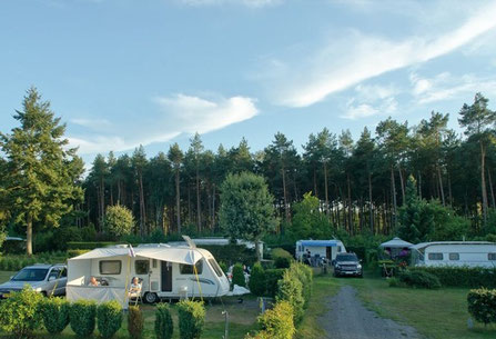 Die besten Campingplätze Lüneburger Heide Campingplatz auf dem Simpel