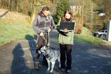 Dogtrekking Dogtrekking Dogtrekking Dogtrekking Elbsandstein-Dogtrekking ESDT Harz-Dogtrekking