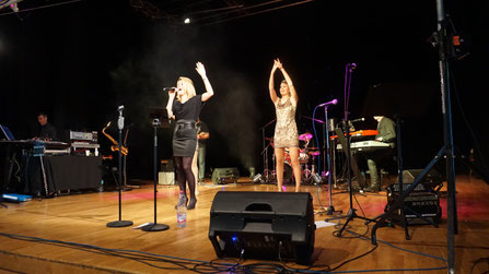 orchestre soirée lyon rhône alpes musiciens