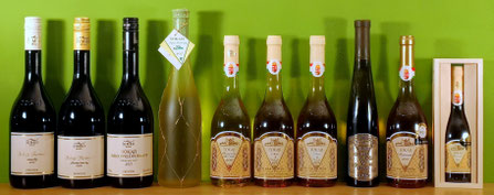 zur Shop-Seite Weine vom Weingut Evinor