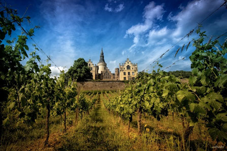 Besonderes Ambiente für Weintaster, Weinproben, Weinberge, Wein