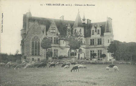 Troupe de moutons d'Ouessant devant le château de Montiver, dans le Maine-et-Loire - carte postale provenant de la collection de Thomas SZABO