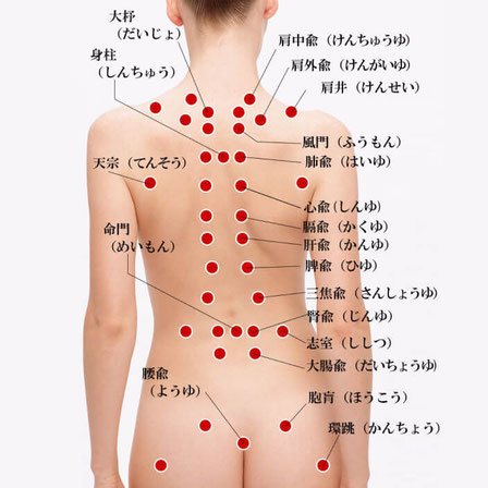 背中の内臓のツボ